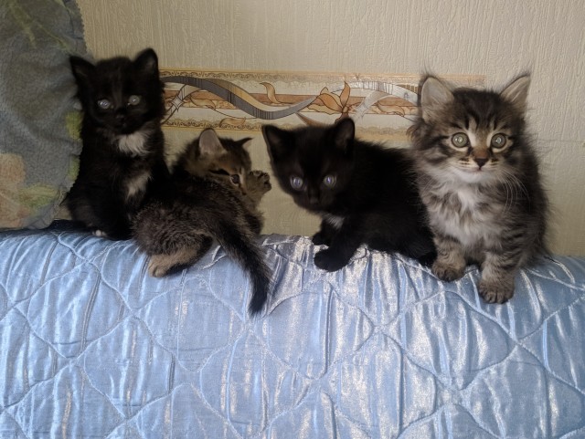 Уходят дни, уходят годы, уходит жизнь...