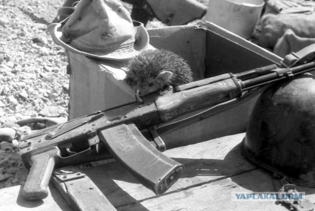А какая военная техника была в вашем распоряжение?