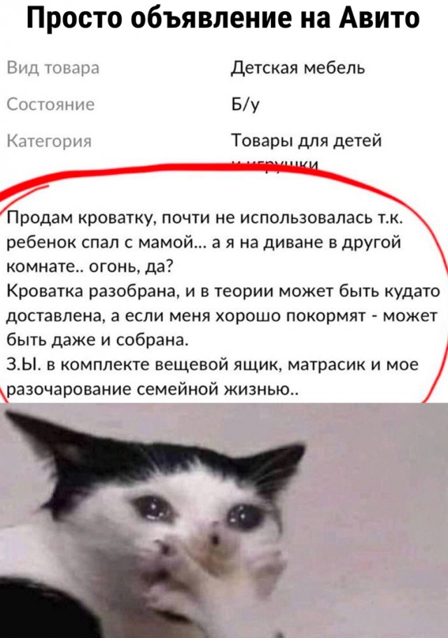 Так себе картинки 23.04.22