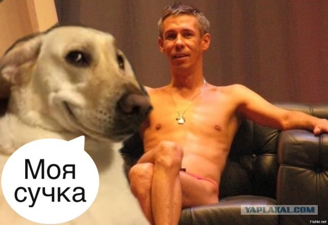Шариков, сволочь, всё-таки успел дать потомство