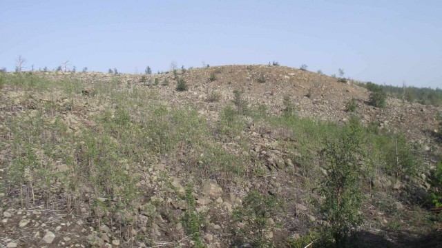 Ты узнаешь, что напрасно называют север крайним...