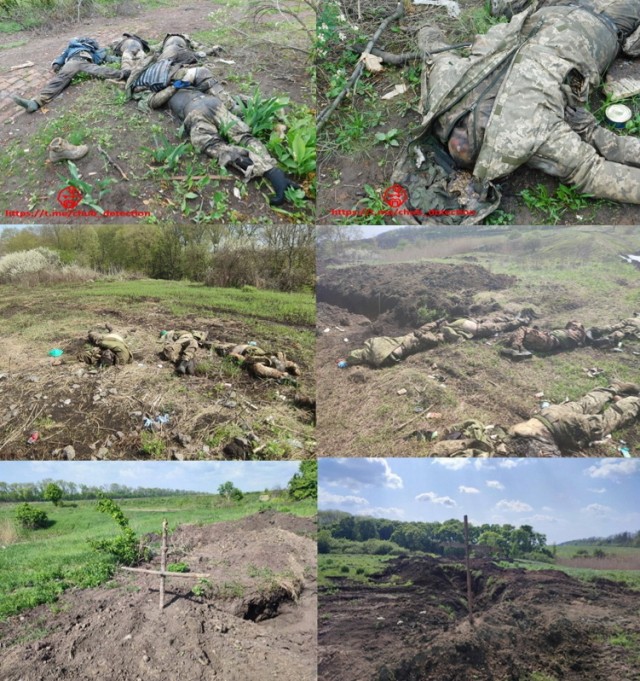 WarGonzo: на Украину прибыло два батальона поляков