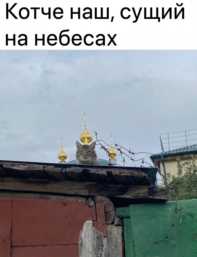 Смешные картинки 07.06.2022
