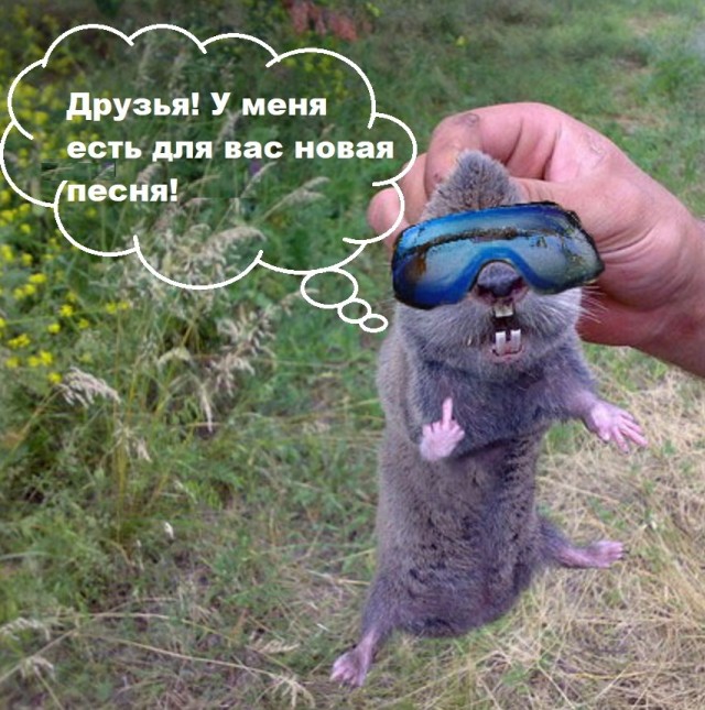 Что за зверушка?