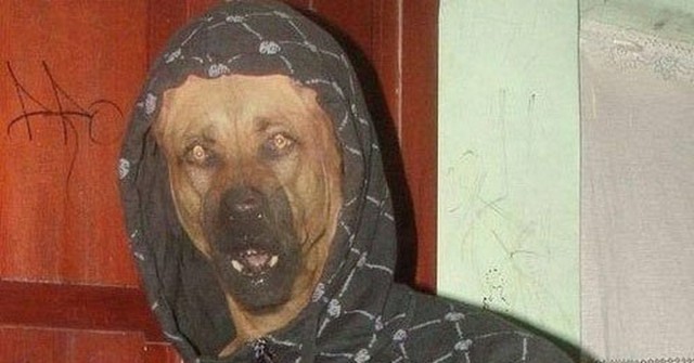 Кто это?