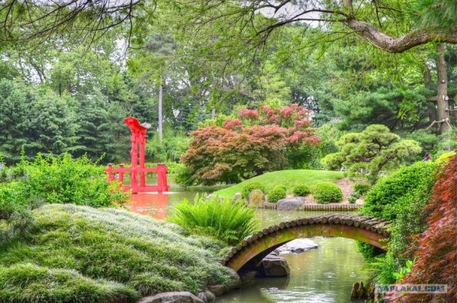 Путешествие по Северной Америке