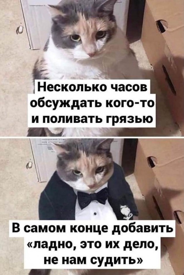 Картинки и мемы для настроения - 27