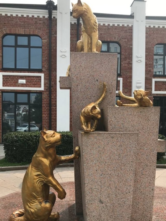 Просто фотки с телефона
