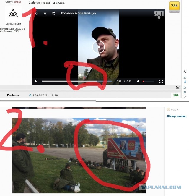 Даже стрелять не обучали