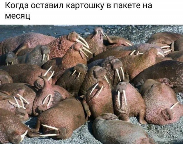 Картинки аморальные и всякие разные - 40