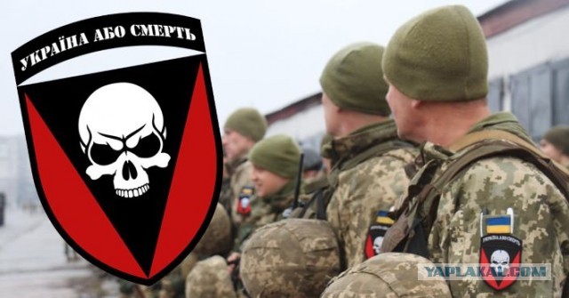 Под Лисичанском погиб мобилизованный адвокат из Петербурга