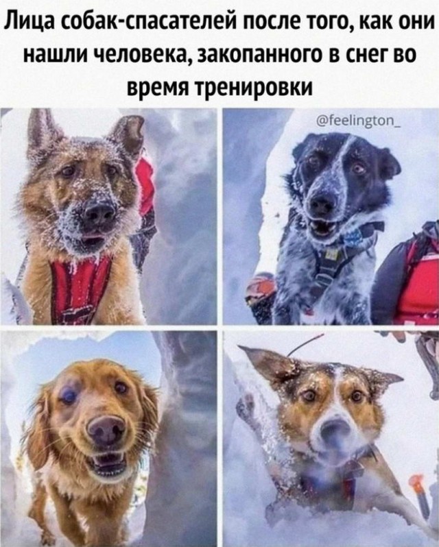 Прикольные и просто красивые картинки 25.10.2022