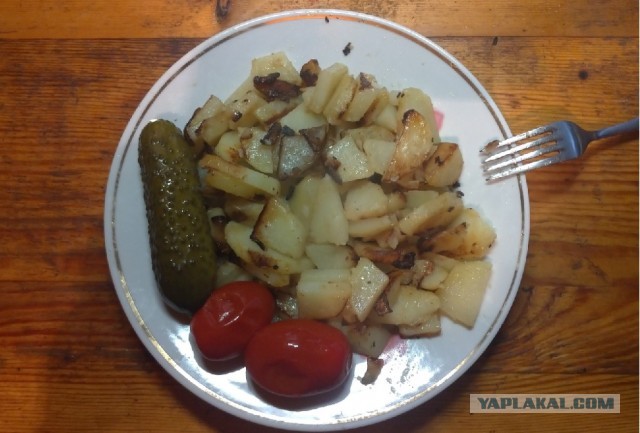 Некоторые бабы кончают