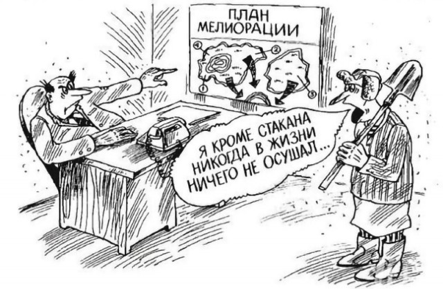 Карикатурист Василий Дубов.