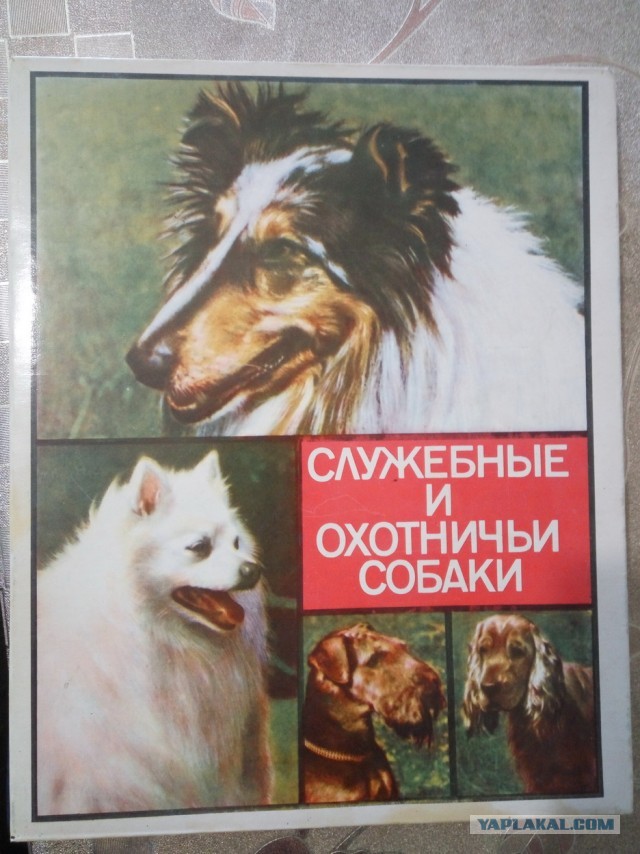 Наследство от бабушки