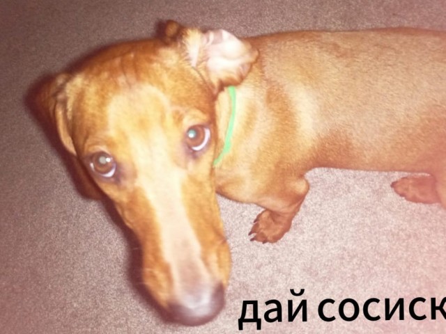 Мы пропустили