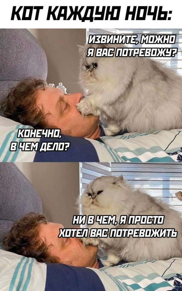 Немного картинок для настроения - 133