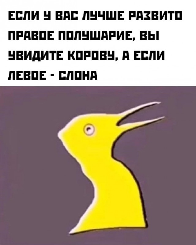 Картинки и мемы, всем хороших выходных