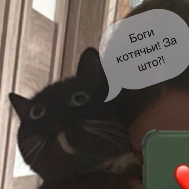 Ой, ребята!