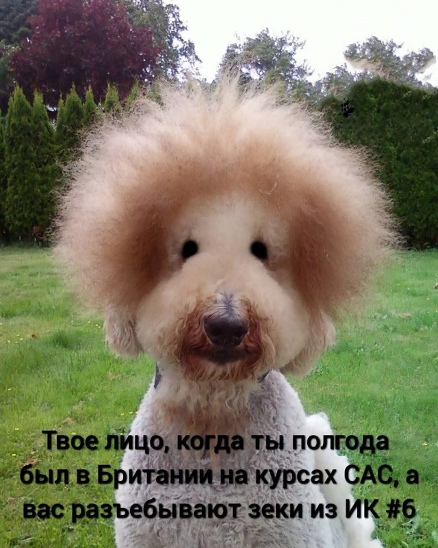 Пригожин заявил о полном взятии под контроль Бахмута (Артемовск)
