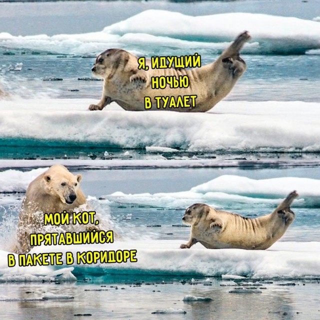 Картинки и мемы для настроения - 187