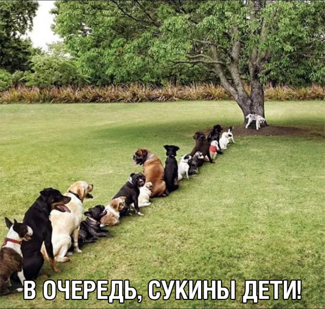 Немного картинок и прочей хреноты Vol. 23