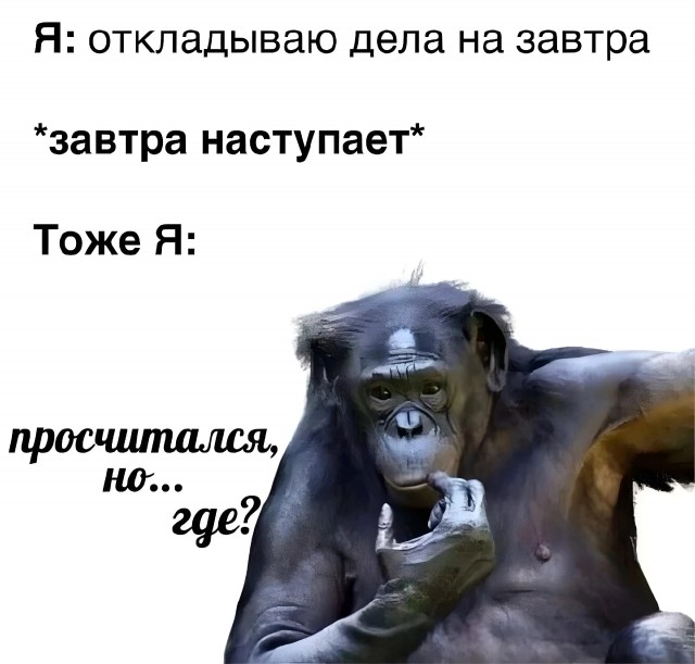 Нуштош 11.06.2023