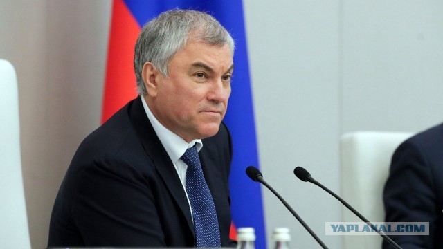 Володин предложил ввести уголовную ответственность за использование пальмового масла