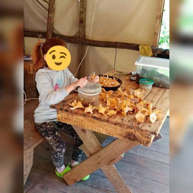 Побег из города. Дикий отдых