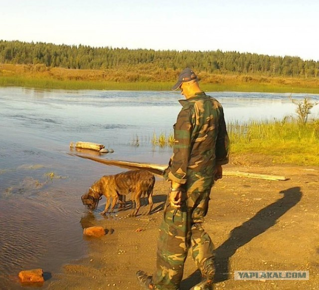 Панорамная фотография