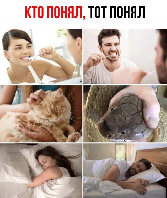 Приколы с налетом деградации в пятницу