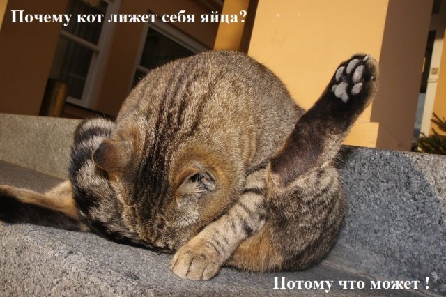 Наташ, а нафига мне эта хрень?