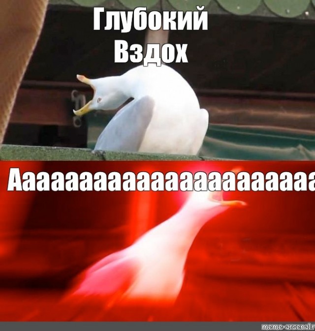 Незамерзайка