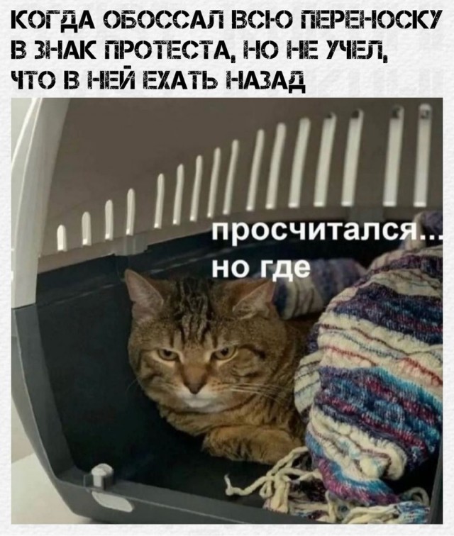 Отряд быстрого деградирования