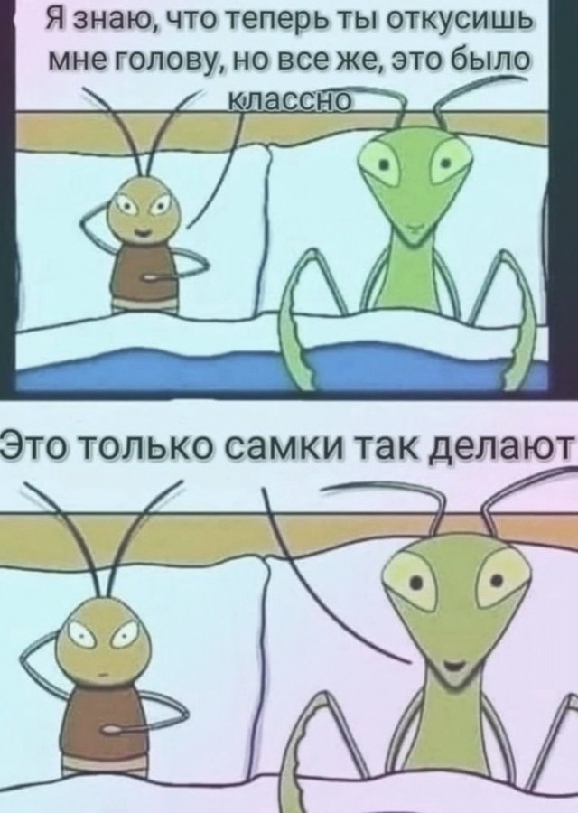 Подборка необычных невест
