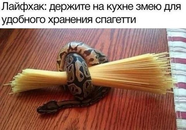 Немного забавных картинок от 18.08.2024