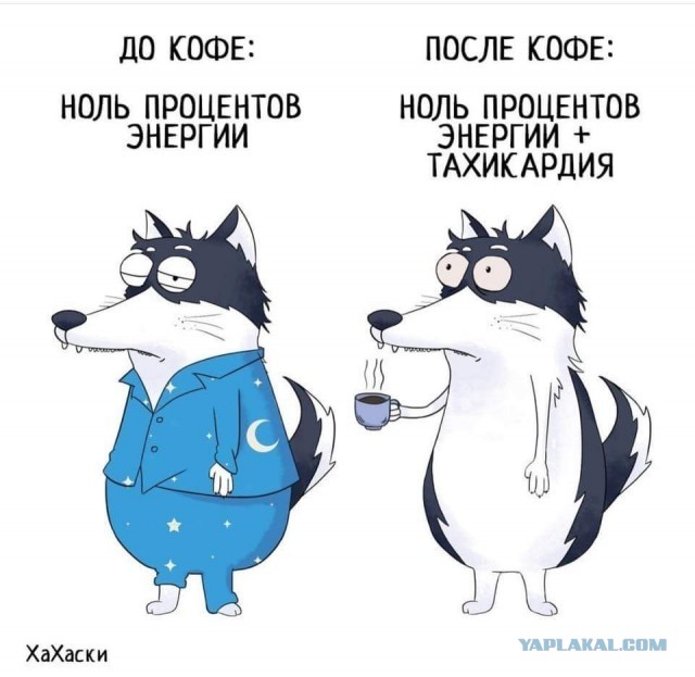 Очумелые Пёрышки