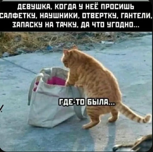 Завалялось тут случайно немного забавных картинок
