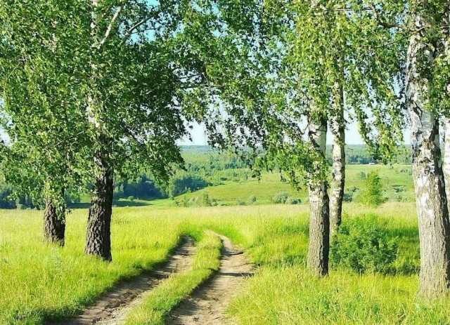 Немного ассортити....