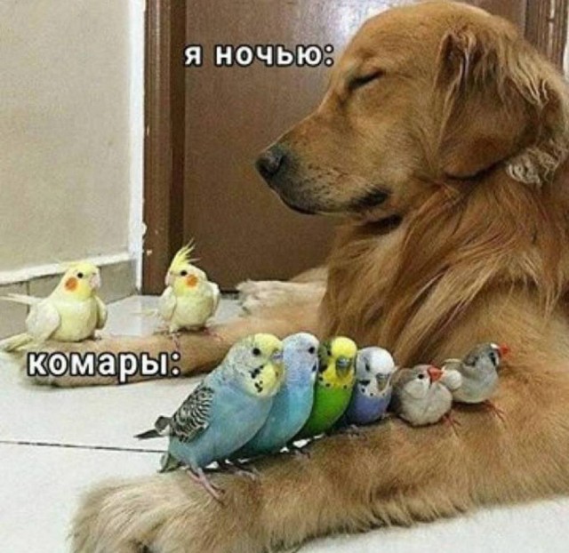 Для настроения в четверг!