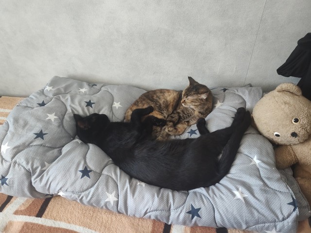 Его первый вторник