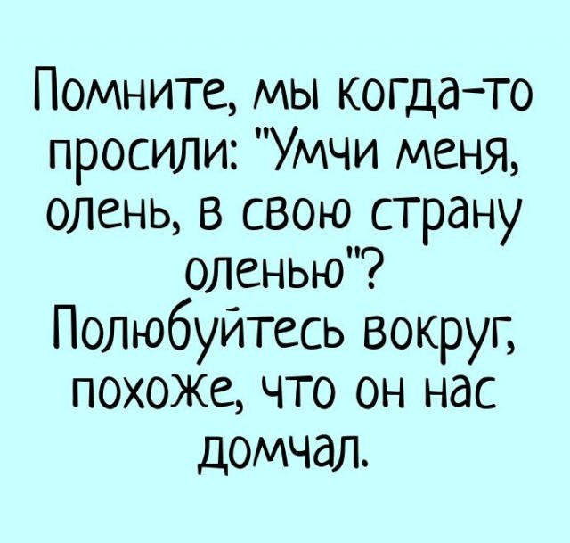Памятка Оленю, почему ты должен жениться
