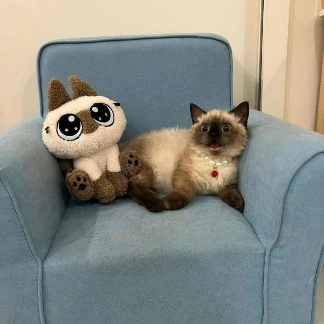 Четверговые разности в картинках