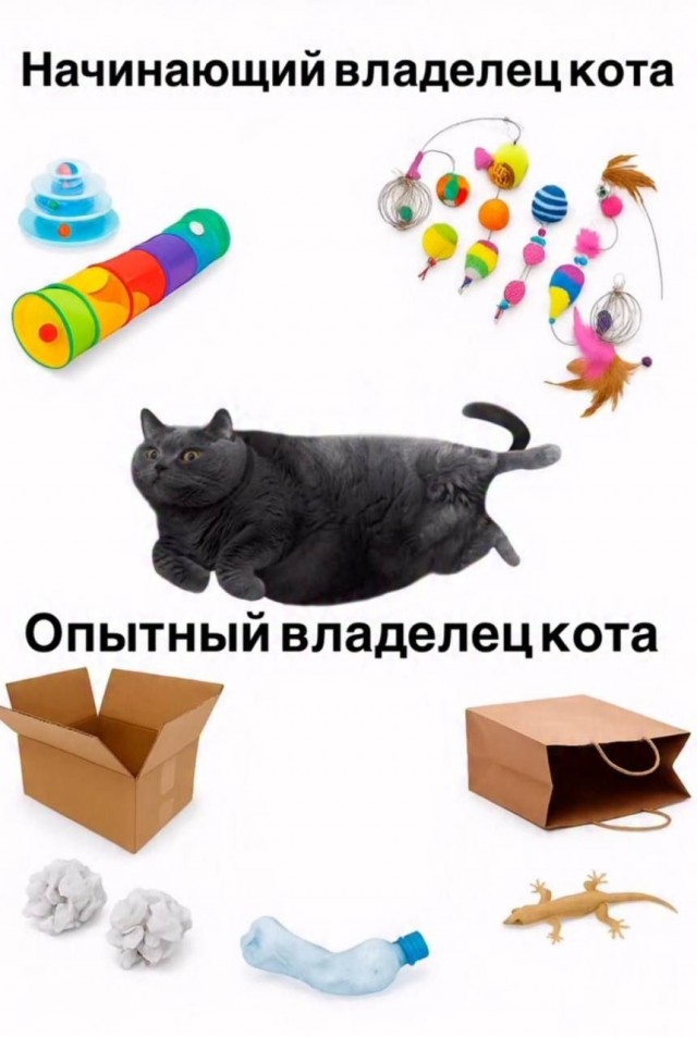 Так себе картинки 30.10.25