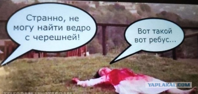 Алкозапасы на Новый Год