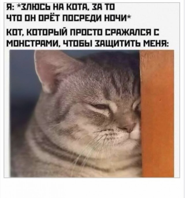 Картинки для деградации 135 (разной степени свежести)