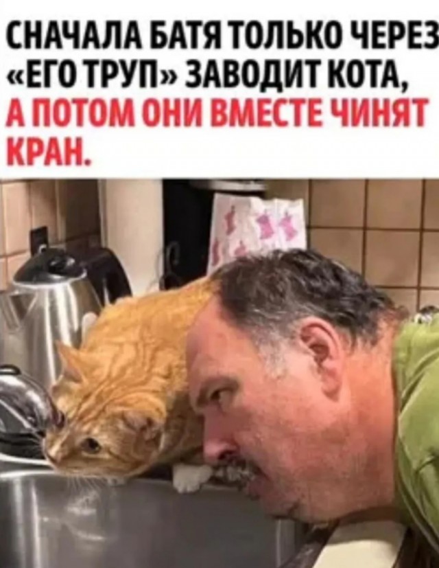 Так себе картинки 24.02.26