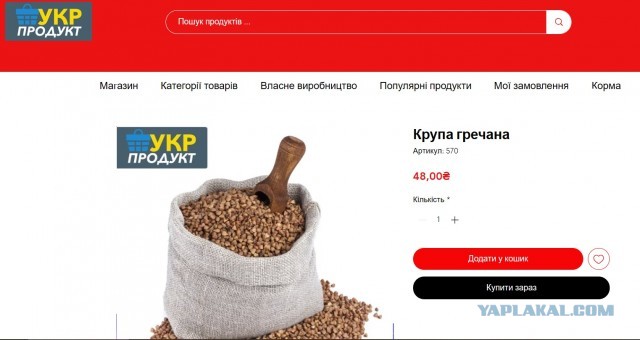 Киевляне массово бросились скупать гречку