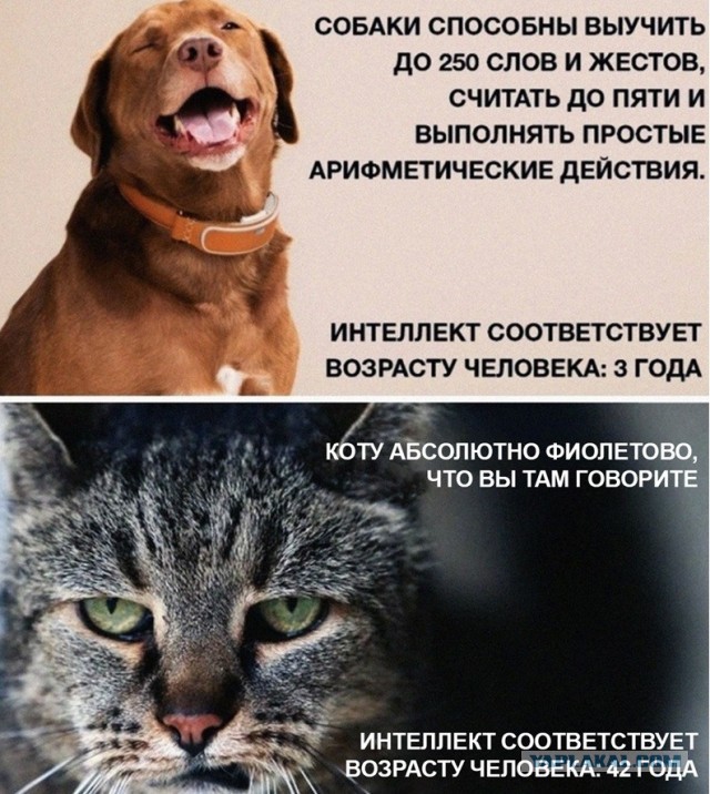 Что вы сделали? А, поспать придвинули. Спасибо