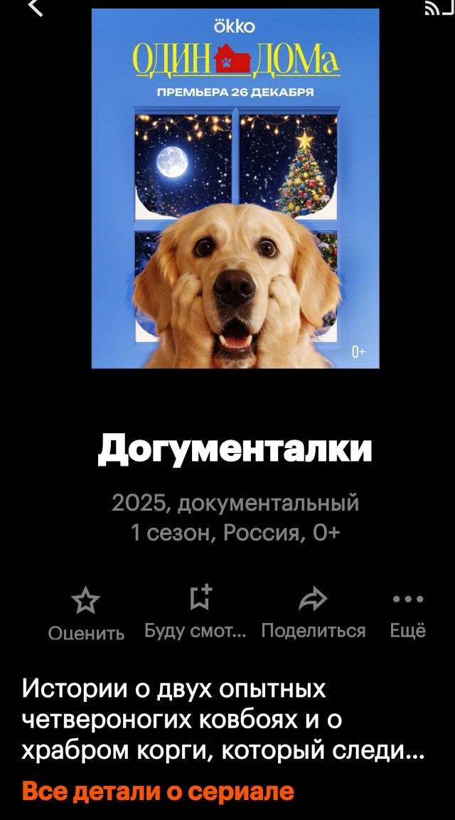 Китайцы запустили круглосуточный телеканал для домашних животных